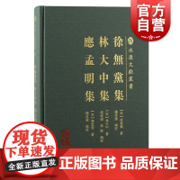 徐无党集林大中集应孟明集 永康文献丛书宋代名臣诗文相关文献结集文集上海古籍出版社中国通史
