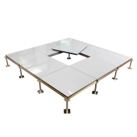 诚智旺 陶瓷面防静电地板含配件 600*600*40mm/块