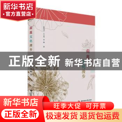正版 荷莲文化漫步 曾宪宝,王小周,李娜著 华中科技大学出版社