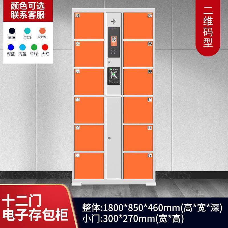 帝德龙12门存包柜电子存放柜二维码型BMG-Z4 850*460*1800mm