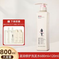 阿道夫洗发水800ml祛屑控油蓬松洗头膏乳露持久留香男女官方正品