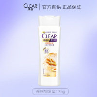 清扬去屑洗发露175g洗发水养根韧发控油清爽洗头膏活力运动中瓶装 养根韧发 175克