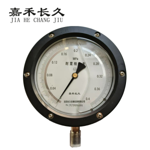 嘉禾长久+耐震抗震精密压力表检测定制型+YBN150 0.25级+块