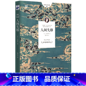 人间失格 [正版]追逐金色的少年/长青藤国际大奖小说书系 青少年小学生课外阅读书籍儿童文学作品