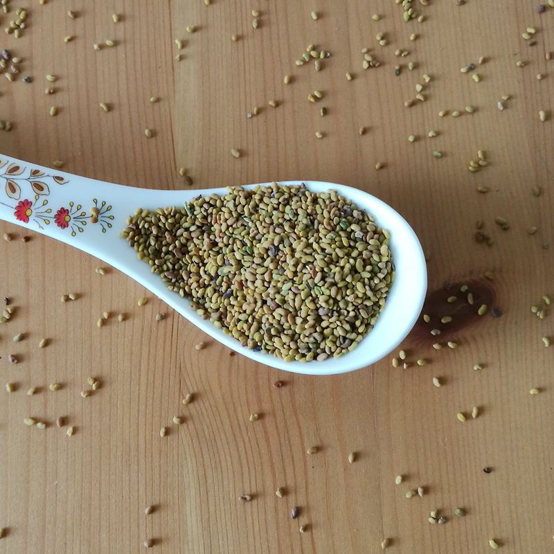 符象紫花苜蓿种子 食用芽苗菜三叶 饲料金花菜头四季牧种籽 苜蓿净仔5