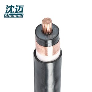 沈迈 铜芯电缆 ZC-YJV-1*70(10-1)mm² /米
