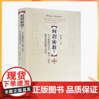 正版 何谓密教? 关于密教的定义修习符号和历史的诠释与争论 沈卫荣 中国藏学出版社