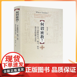 正版 何谓密教? 关于密教的定义修习符号和历史的诠释与争论 沈卫荣 中国藏学出版社