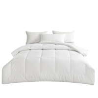 路盈顺 空调被 185*215cm 床