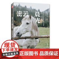 密云晨光(听一个把信仰融入生命的人,安静地聊聊电影、阅读、写作、时事与生活。)