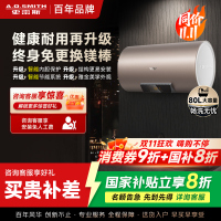 史密斯80升电热水器 国家补贴 专利免更换镁棒 金圭内胆 速热节能 CEWH-80ED3 一级能效