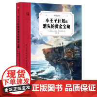 小王子计划和消失的黄金宝藏(奇想文库平装)
