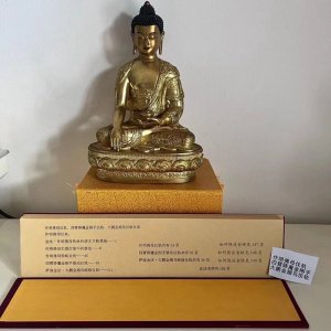 作明佛母仪轨大鹏金翅鸟仪轨四臂金刚手仪轨共150页