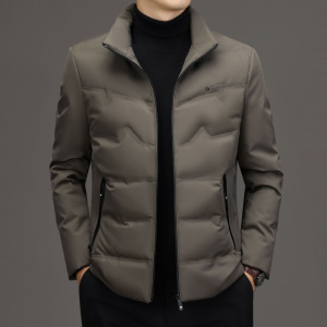 秋冬季新款立领白鸭绒男士羽绒服短款保暖休闲时尚高档男士外套