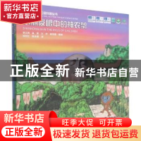 正版 玩转世界地质公园科普丛书(全2册) 李江风等编绘 中国地质