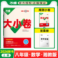 2026版万唯中考 大小卷八年级数学上册湘教版XJ初中专题训练初二数学8年级单元同步训练试卷知识大全期中模拟期末复习冲刺