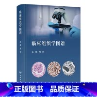[正版]临床组织学图谱 2023年12月参考书 9787117325486