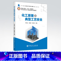 [正版]化工原理及典型工艺安全 可作安全工程 化学工程 环境工程及相关工程类专业本专科生少学时化工原理教学用书 中国