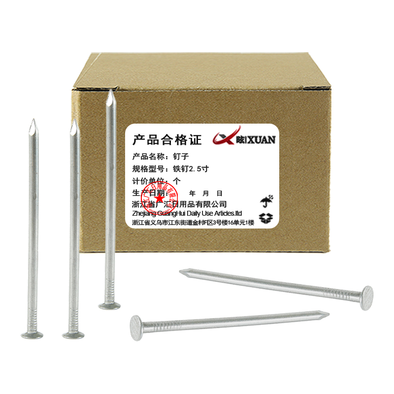 昡 钉子 铁钉2.5寸 个