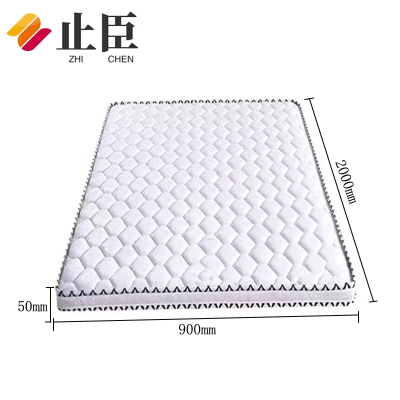 止臣 床垫办公家具简约椰棕床垫舒适软硬适中亲肤面料床垫棕垫CD-1 / 张