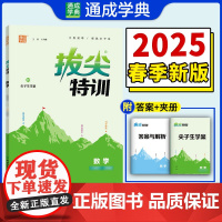 25春初中拔尖特训 数学9年级下·北师大版 通成城学典