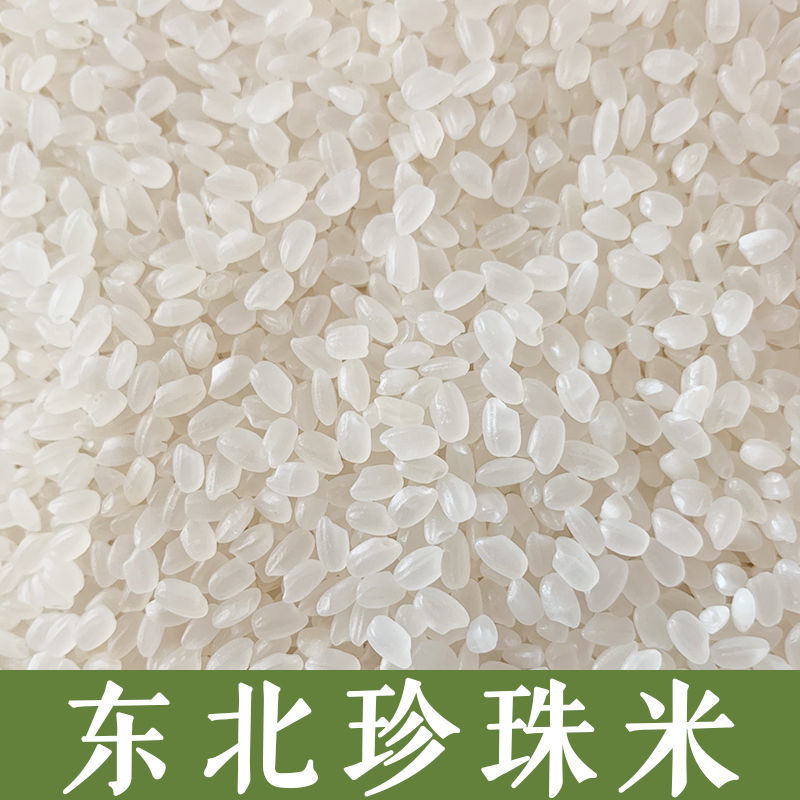 新米东北大米珍珠米 长粒香大米 粳米大米 批发价 东北珍珠米10斤(5斤