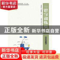 正版 三笔字训练教程:视频指导版 袁品良,王建湘 人民邮电出版社