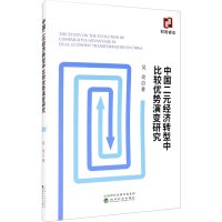 音像中国二元经济转型中比较优势演变研究吴亮