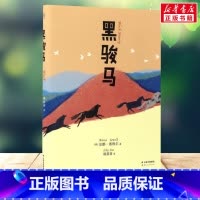 黑骏马 [正版]小狐狸买手套 四年级课外书阅读中文分级阅读K4黑骏马小鹿斑比小凯的稻草人十万个为什么中国古代人物故事丛林