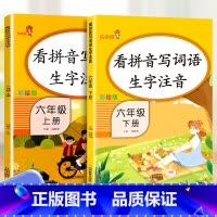 6上下-看拼音写词语 共2本 小学通用 [正版]乐学熊小学生看拼音写词语生字注音一二三四五六年级上下册语文专项训练彩绘版