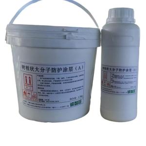 诚智旺 树枝状大分子防护涂层 白色 1.2+0.3kg/组