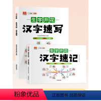 [全2册]汉字速记+汉字速写 小学通用 [正版]2024思维导图速记汉字升级版小学生语文生字开花人教版认识偏旁部首结构儿