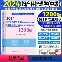 [正版]2024新版儿科护理学(中级)资格考试单科通关第3科专业知识考点笔记及强化训练 全国卫生资格考试主管护师202