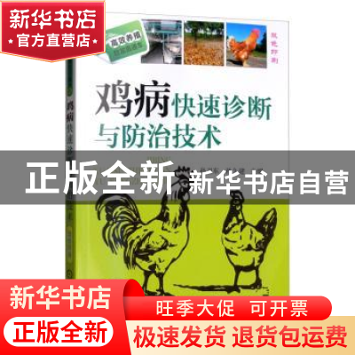正版 鸡病快速诊断与防治技术(双色印刷) 孙卫东,孙久建 机械工业