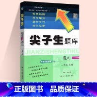 语文:人教版 五年级上 [正版]2024春尖子生题库二三年级四五年级六一年级上下册数学语文人教北师大西师版一课一练课堂同