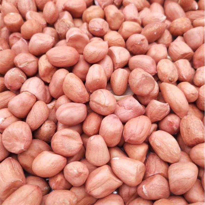 2020年新货白沙花生米生花生新鲜不带壳农家花生仁下酒菜250g5斤