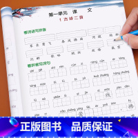 [正版]二年级下册看拼音写词语小学语文同步训练专项练习册人教版下练习配套人教版词语汉字生字注音写字本词语手册课堂基础辅