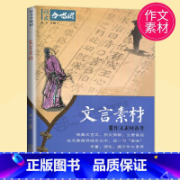 文言素材 [正版]作文合唱团大家看电影肖文名人佳人名著微历史高考高中语文议论文小人物潮流人物鲜素材畅读版高考观点工匠全套
