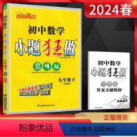 数学 九年级下 [正版]江苏版2024春恩波教育巅峰版初中数学九年级下册 苏科版SK 初三9年级数学九下苏教版同步课时作