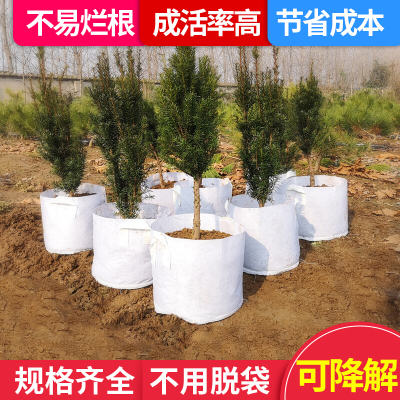 古达 植树袋美植袋无纺布育苗袋加厚特大白色种植树袋营养钵花盆袋