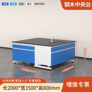 易企采 200CM钢木中央台带水槽 实验室测试化验操作工作台耐酸碱试剂台 单位:张