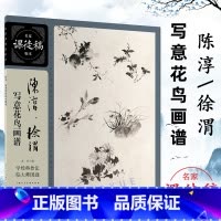 [正版]陈淳 徐渭写意花鸟画谱 名家课徒稿临本 中国画泼墨入门临摹练习画册 水墨画花鸟绘画技术教程欣赏作品 上海人民美术