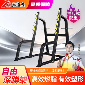 赤道线 自由深蹲架框式杠铃卧推架商用一体举重架家用龙门架专业健身房 CDX-499S-1717