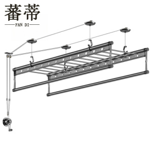 蕃蒂