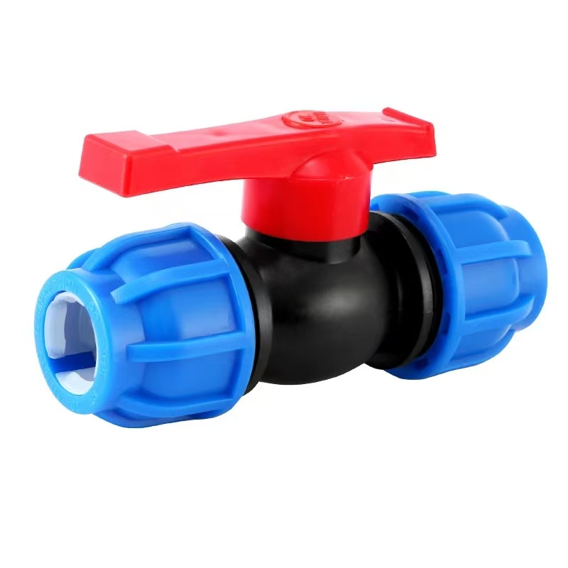 伟鹏双兴 PE快接球阀 20(4分)塑芯 个