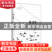 正版 微意思 李进文 四川人民出版社 9787220099519 书籍
