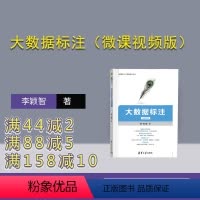 [正版]新书 大数据标注(微课视频版) 李颖智 人工智能-应用-数据处理