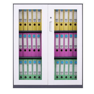 臻远储物柜窄边灰白色加厚款ZY-ZBG-8925*900*400对开玻柜厚度0.6mm