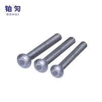 铂灳 半圆头铆钉 22*90mm 个