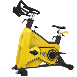 扬子(YANGZI)动感单车健身脚踏车YZ-D001